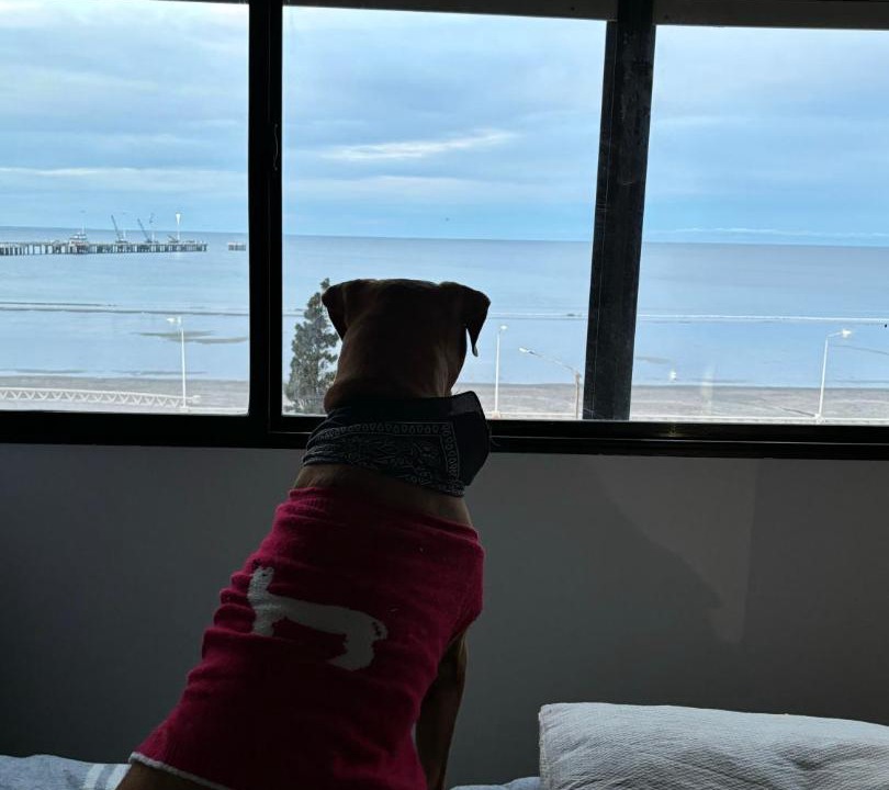 Photo of Others in Puerto Madryn