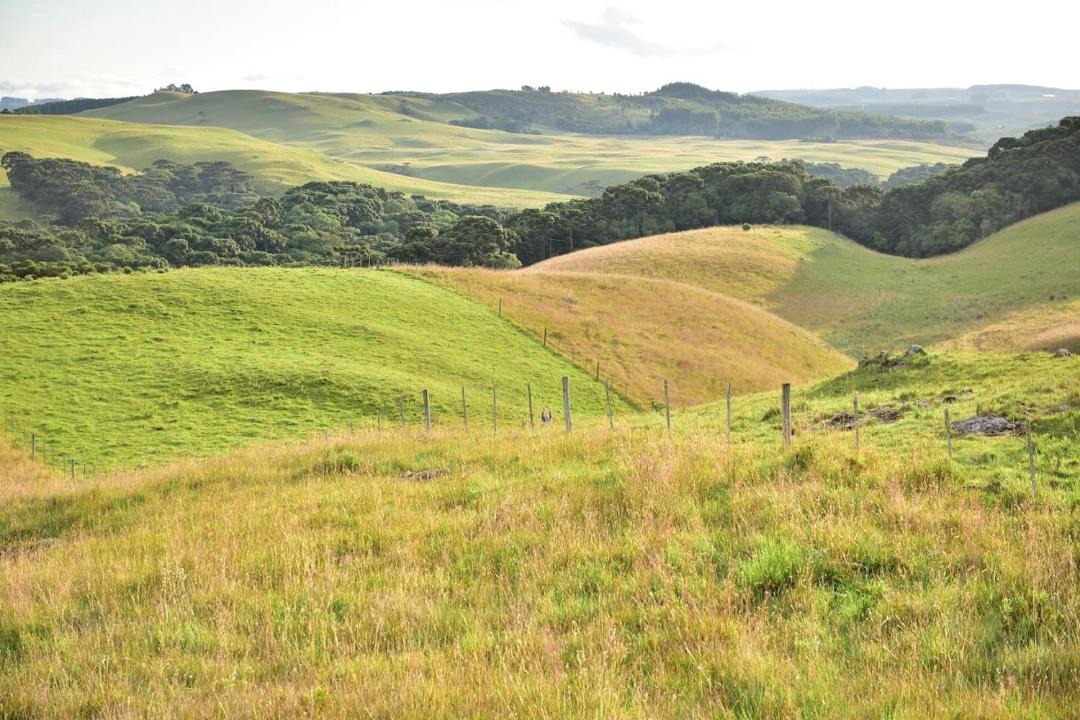 Photo of Others in Cambara do Sul