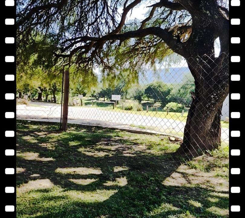 Photo of Others in Santa Maria