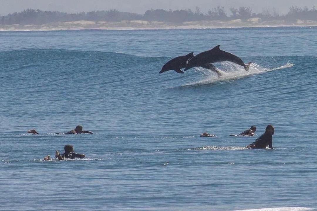 Photo of Others in Laguna