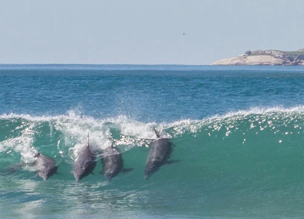 Photo of Others in Laguna