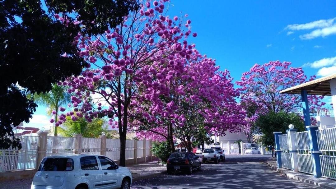 Photo of Others in Jardim Paraiso