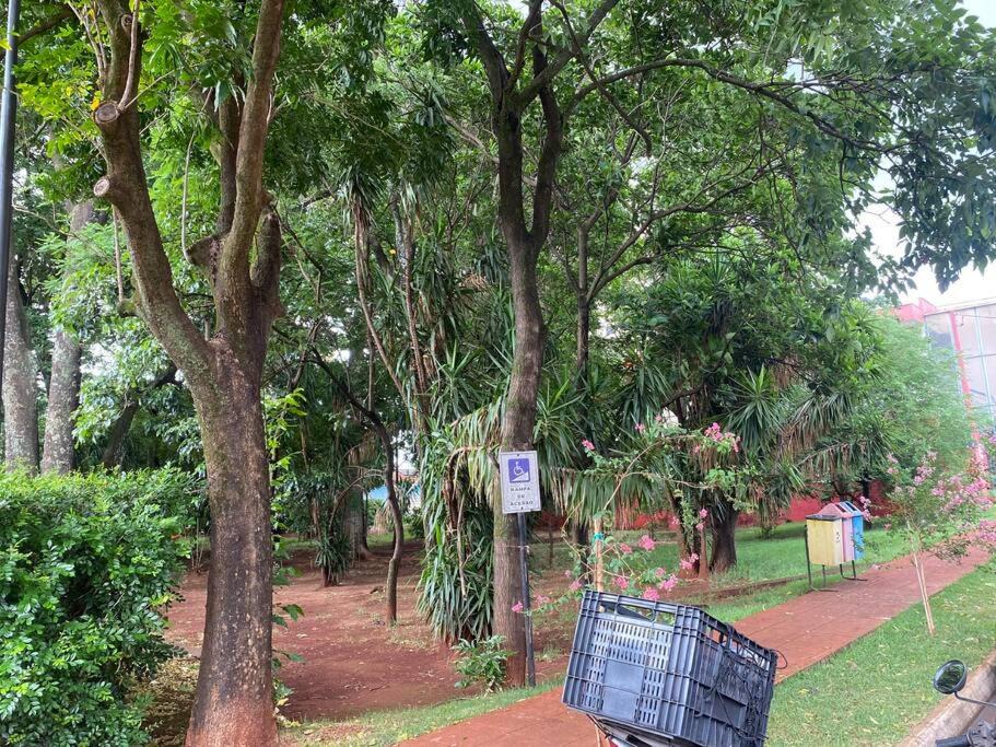 Photo of Others in Ribeirao Preto