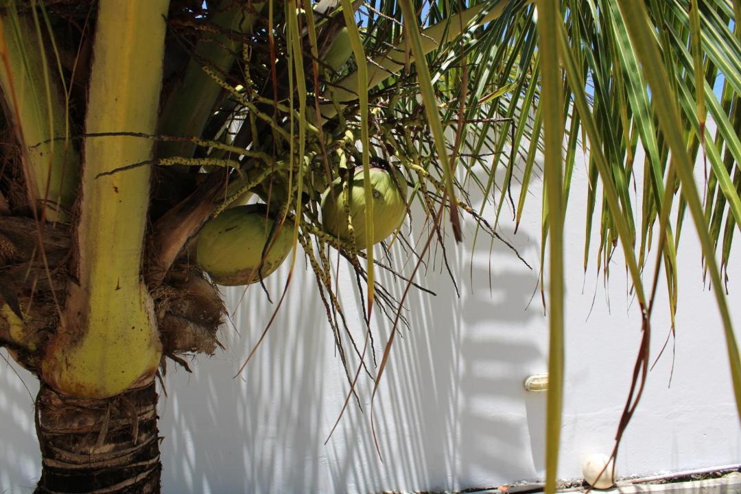 Photo of Others in Barra do Sirinhaem