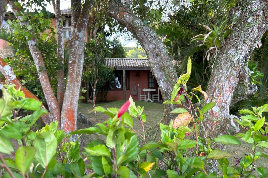 Photo of Others in Santo Andre