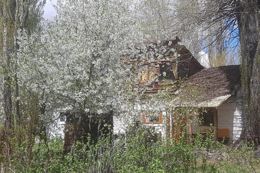 Photo of Buildings in Loncopue Department