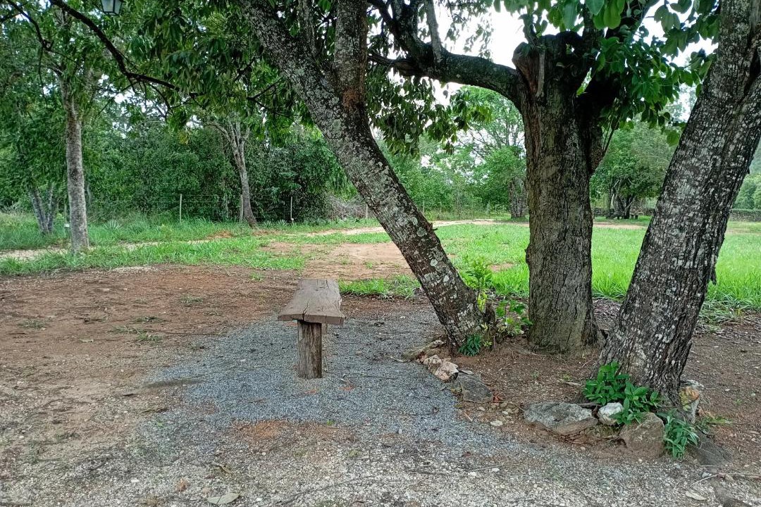 Photo of Others in Cavalcante