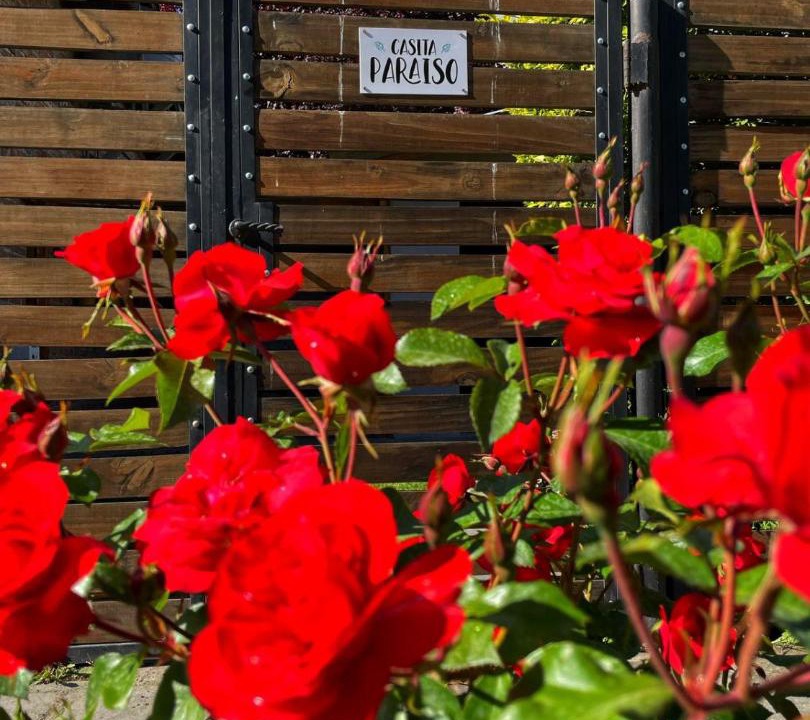 Photo of Others in El Bolson