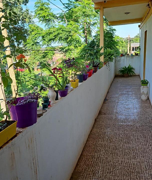 Photo of Others in Posadas
