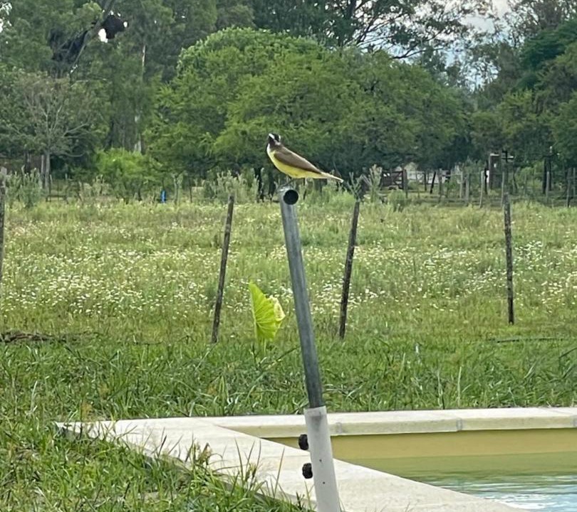 Photo of Others in Gualeguay