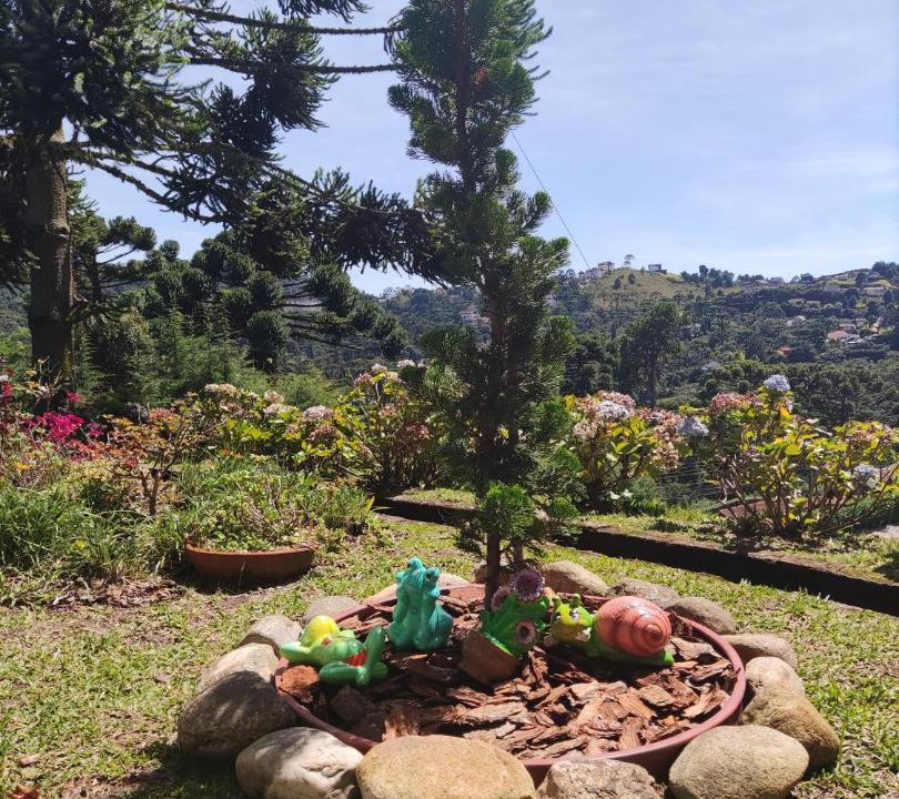 Photo of Others in Recanto Araucaria