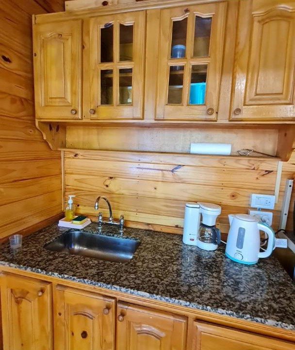 Photo of Kitchen in Dique Lujan
