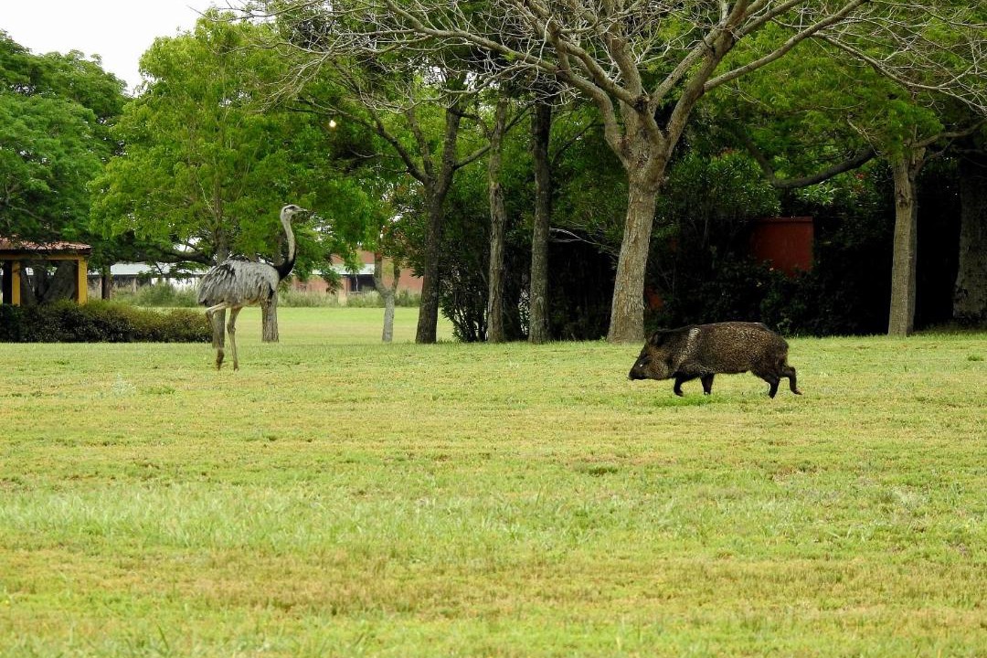 Photo of Others in Concepcion