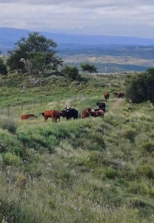 Photo of Others in Villa Yacanto