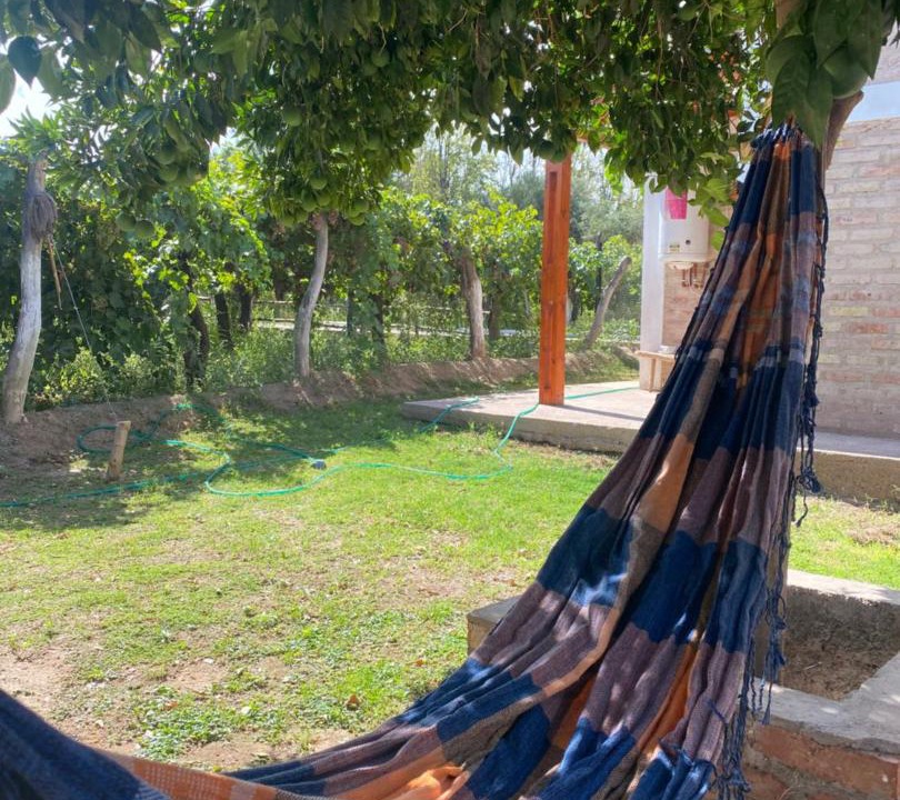 Photo of Others in Chilecito