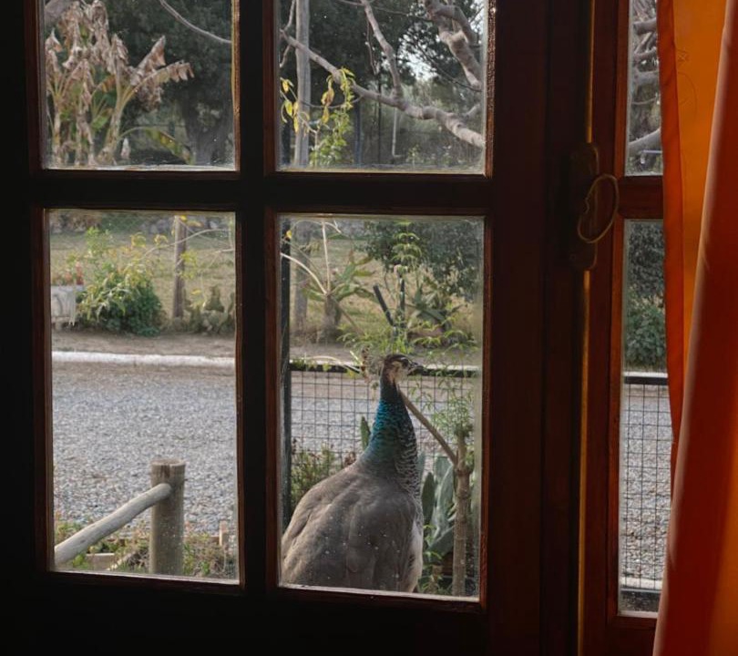 Photo of Others in Chilecito