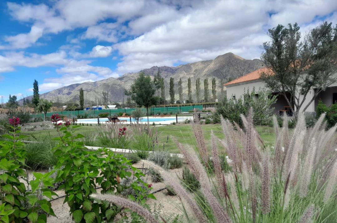 Photo of Others in Cafayate