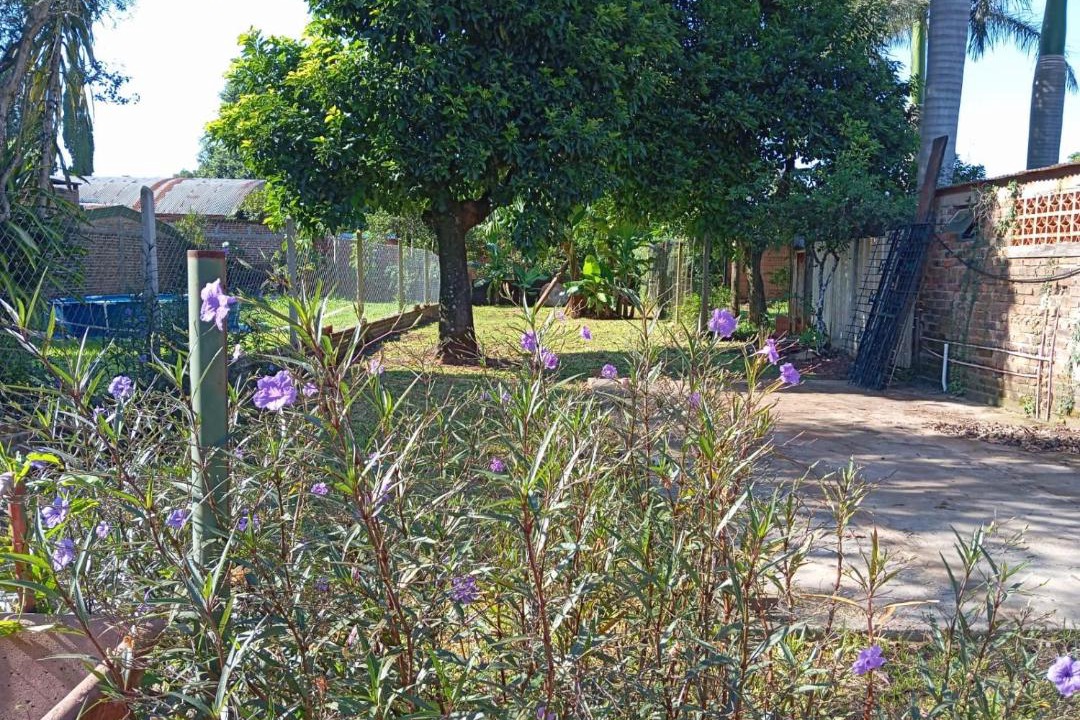 Photo of Others in Jardin America