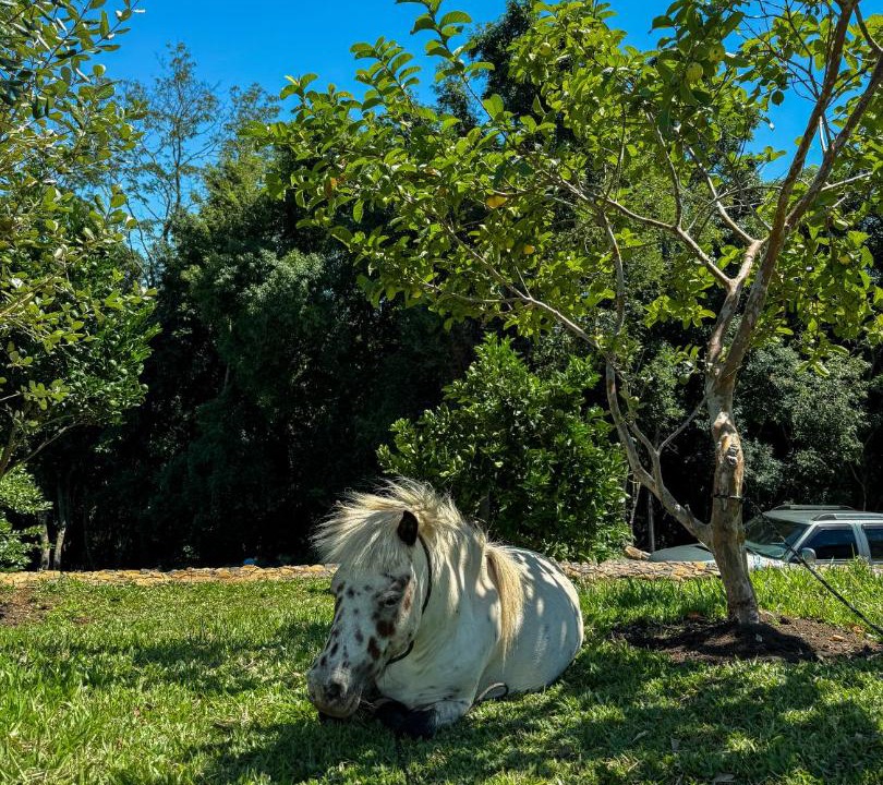 Photo of Others in Nova Petropolis