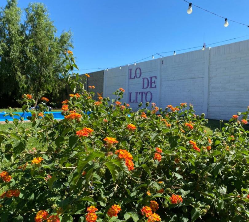 Photo of Outdoor in Saldungaray