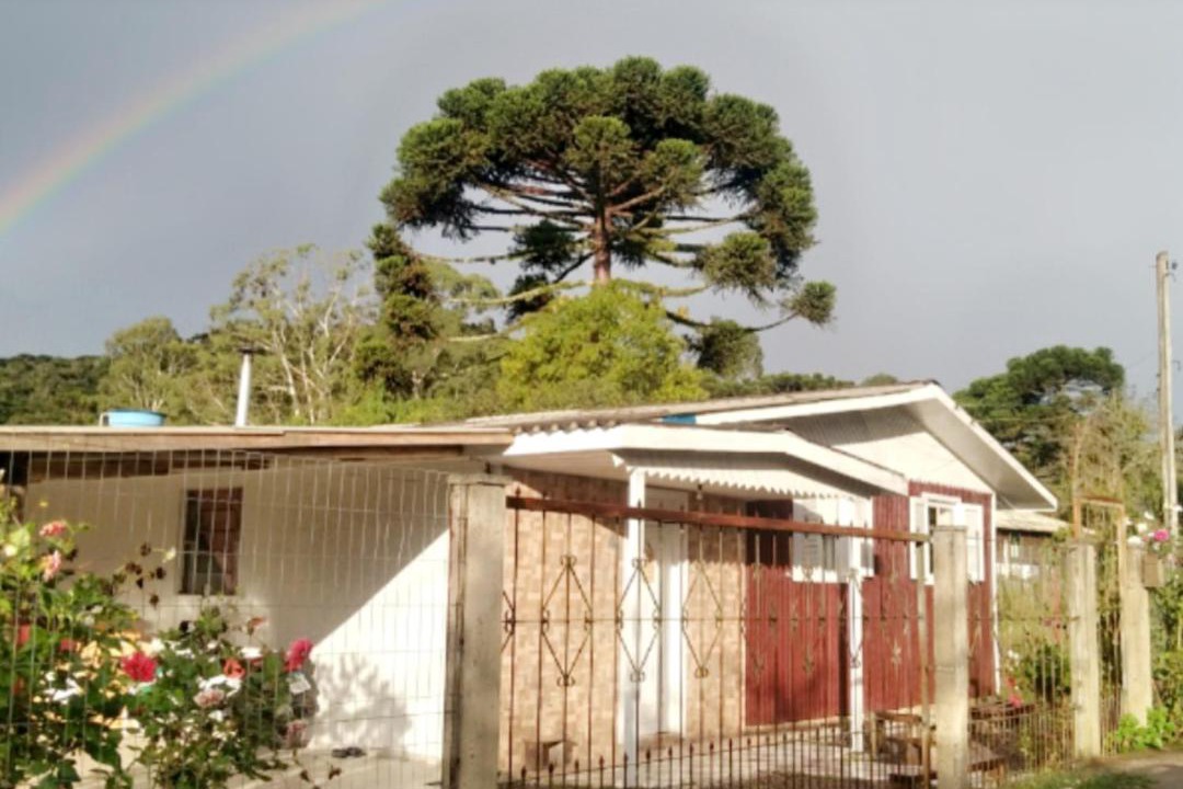 Photo of Others in Cambara do Sul