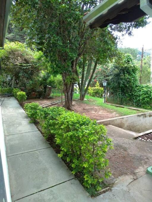Photo of Others in Monte Alegre do Sul