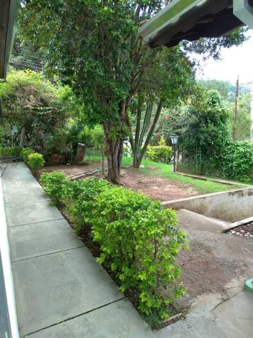 Photo of Others in Monte Alegre do Sul