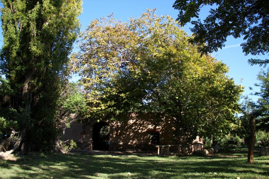 Photo of Others in Barreal