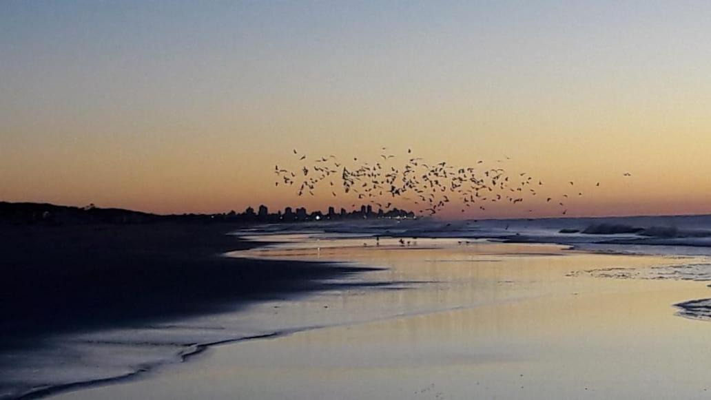 Photo of Others in Las Gaviotas
