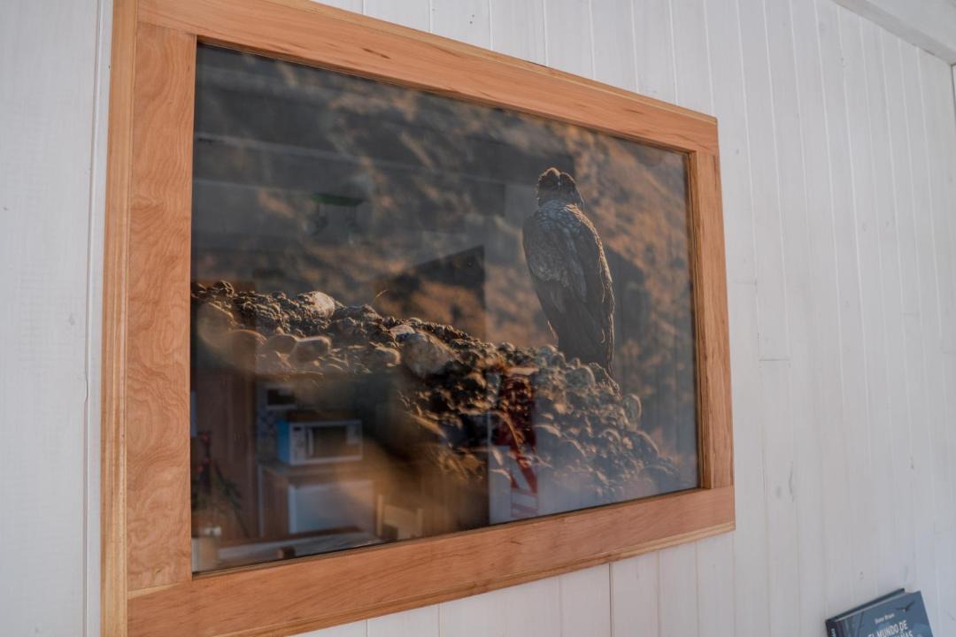 Photo of Others in El Chalten