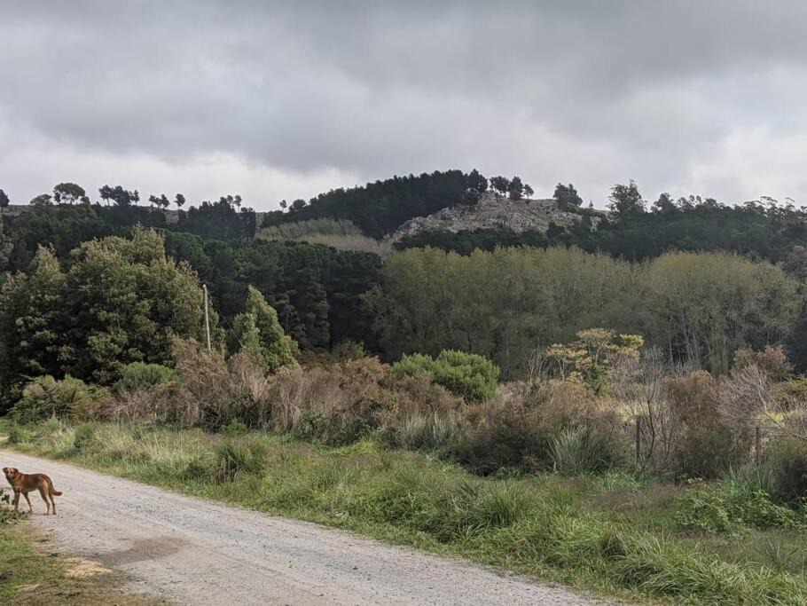 Photo of Outdoor in Tandil