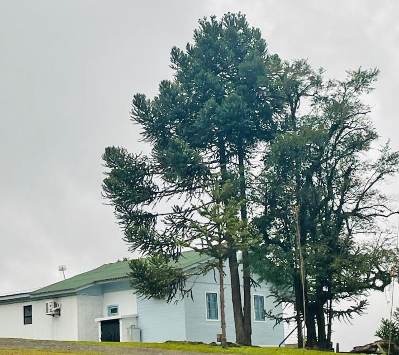 Photo of Others in Urubici