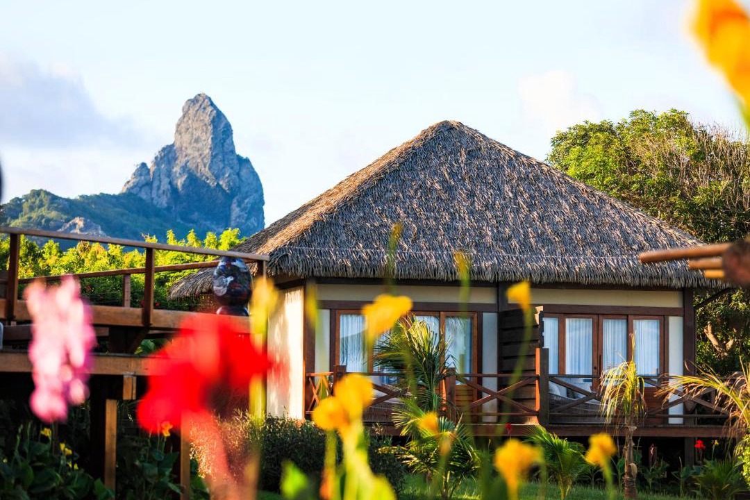 Photo of Others in Fernando de Noronha