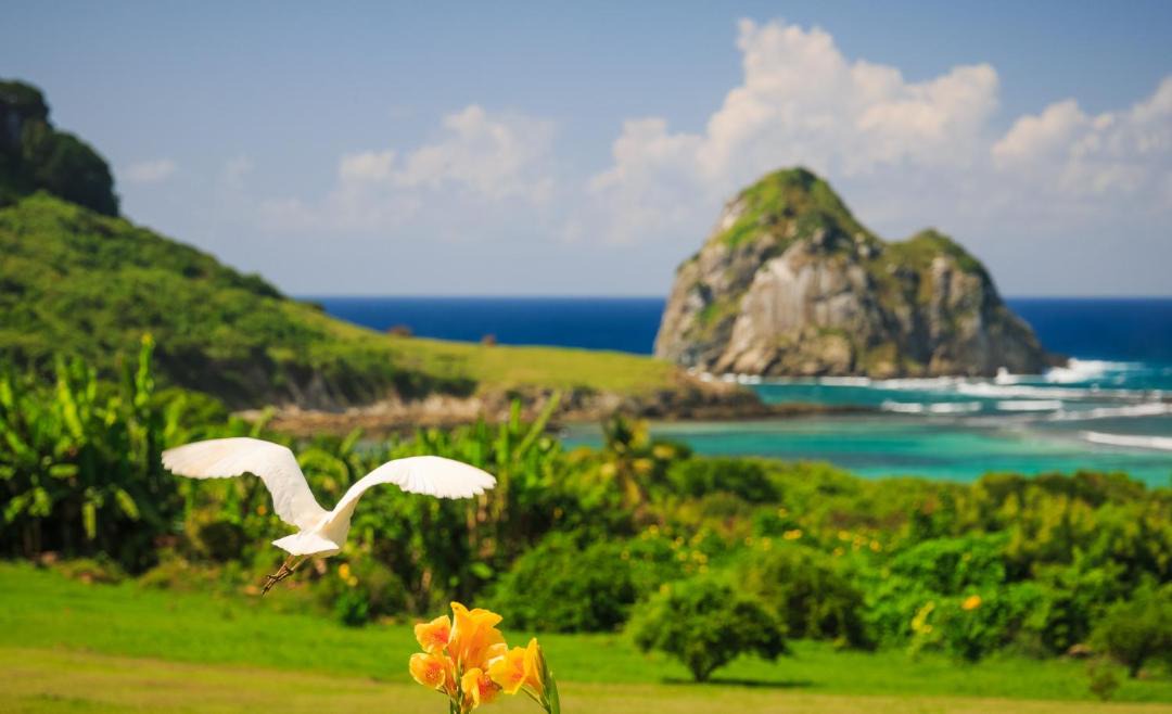 Photo of Others in Fernando de Noronha