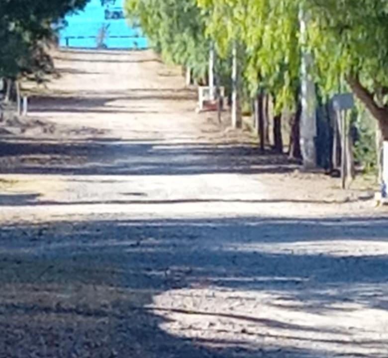 Photo of Others in Agrelo