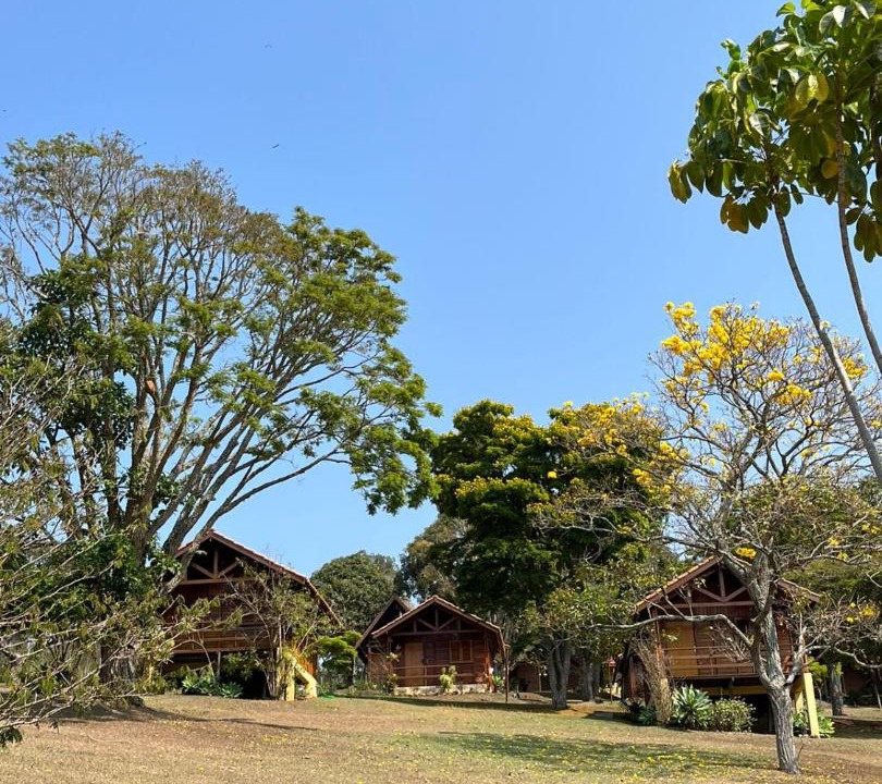 Photo of Others in Joanopolis