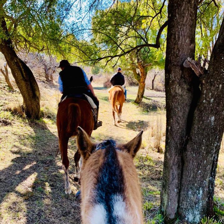 Photo of Others in Junin de los Andes