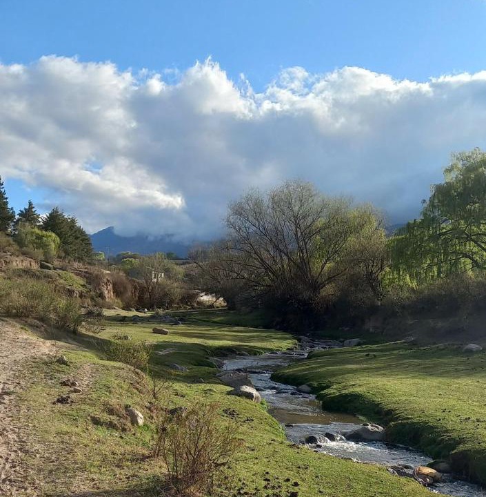 Photo of Others in El Mollar
