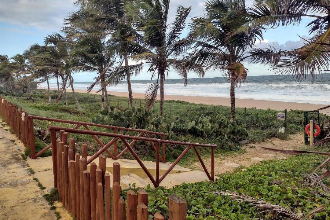 Photo of Others in Barra do Jacuipe