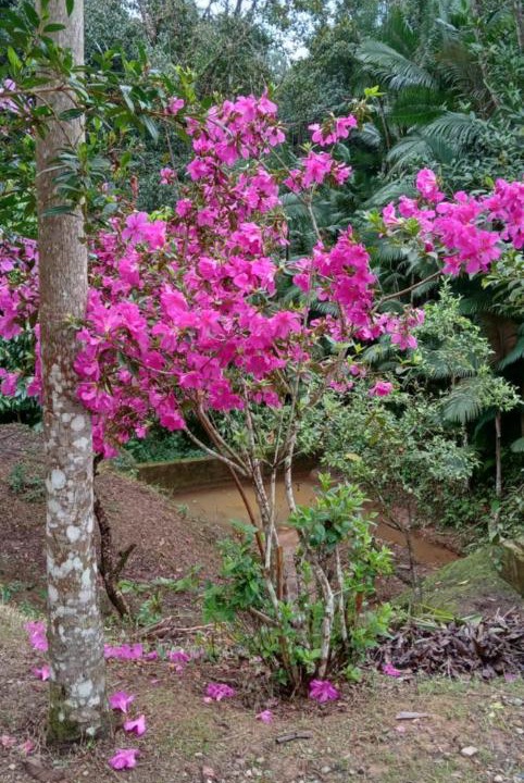 Photo of Outdoor in Major Gercino