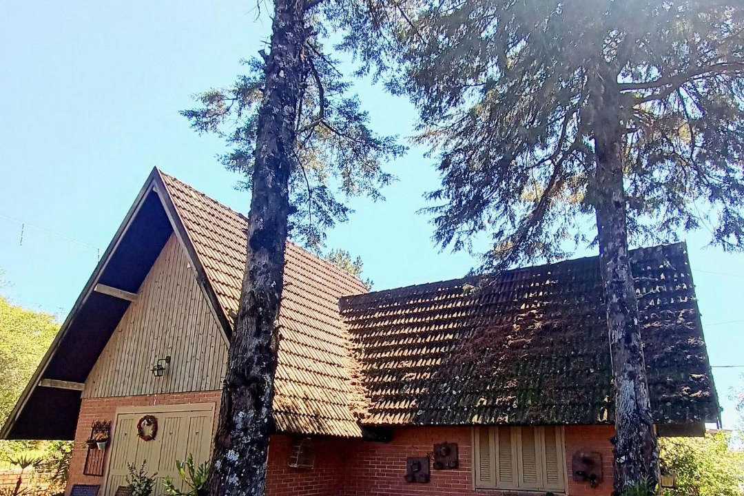 Photo of Others in Gramado