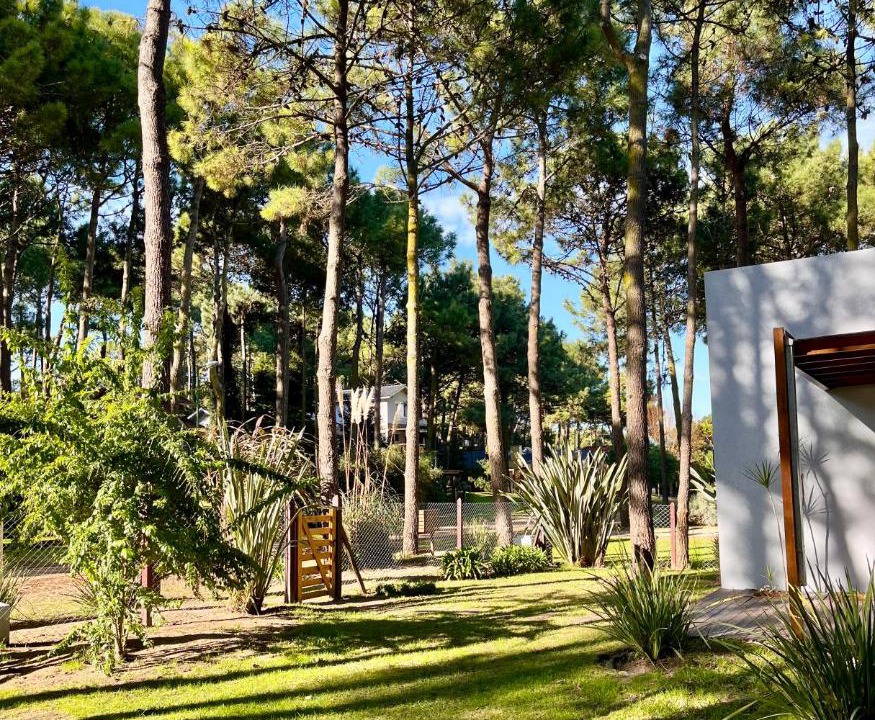 Photo of Others in Pinamar