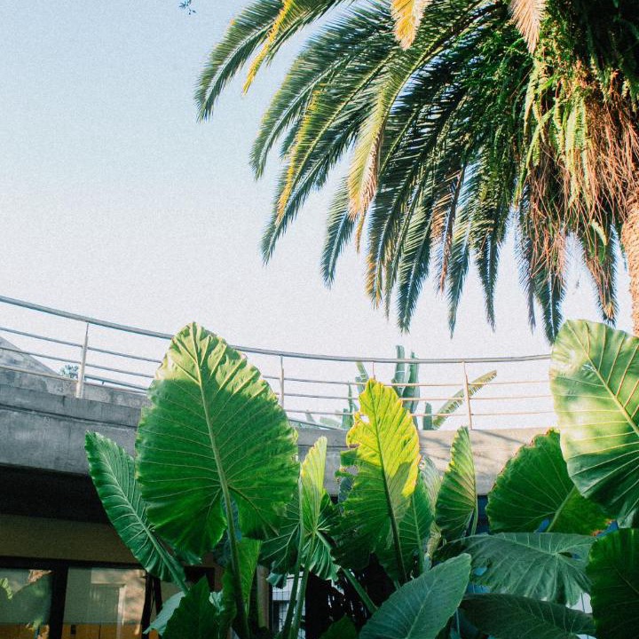 Photo of Others in Yerba Buena