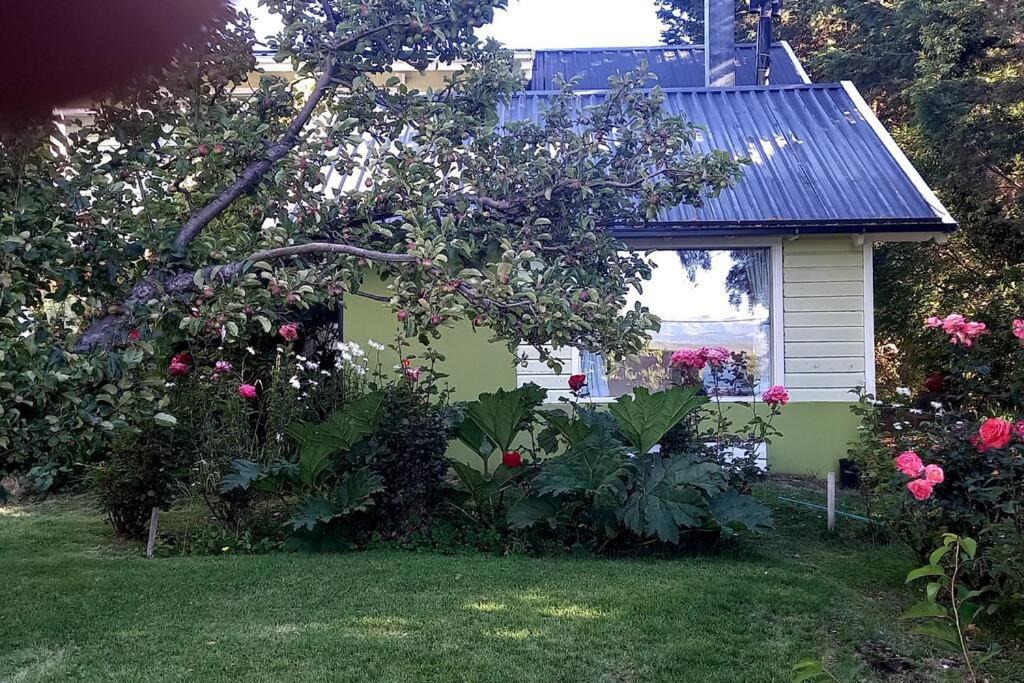 Photo of Buildings in Dina Huapi