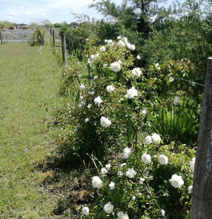 Photo of Outdoor in Olavarria