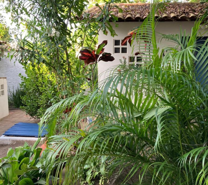 Photo of Others in Mangue Seco