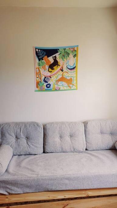 Photo of Livingroom in Barracas