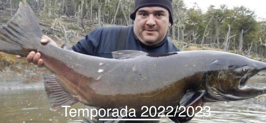 Photo of Others in Province of Tierra del Fuego
