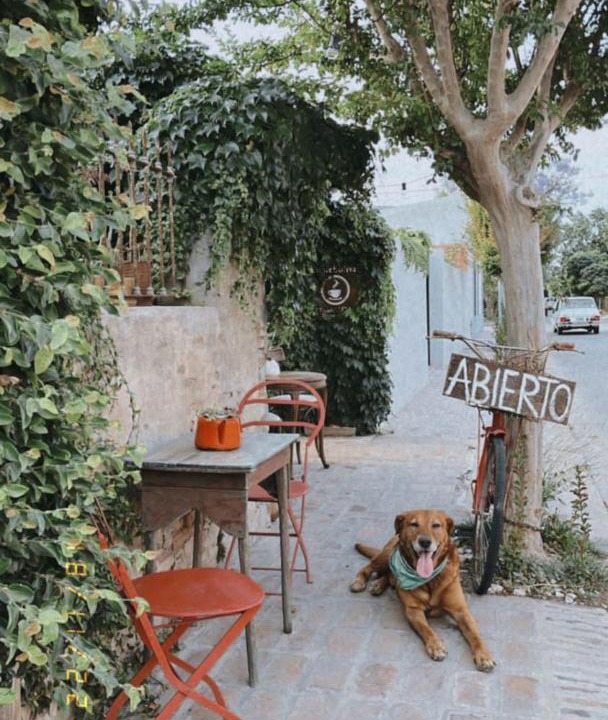 Photo of Patio Balcony in San Antonio de Areco