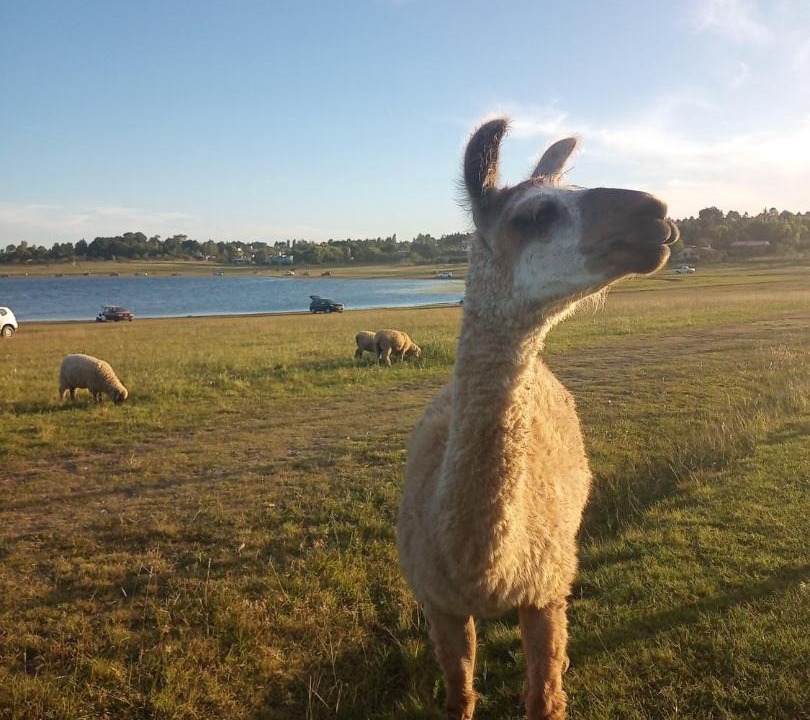 Photo of Others in La Estancia